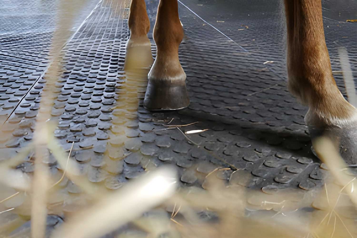 horse mat
