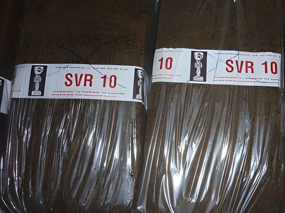 SVR 10