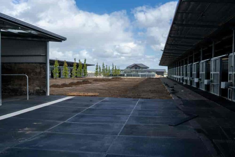 Stable Mat 05